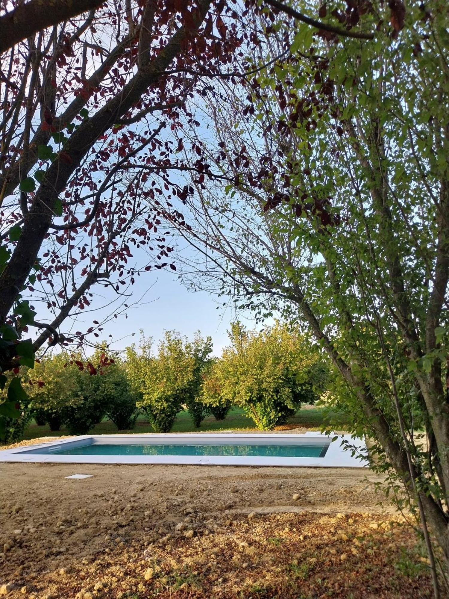 Miravigne House - Casa Di Campagna Con Cucina Castagnole delle Lanze Exterior foto